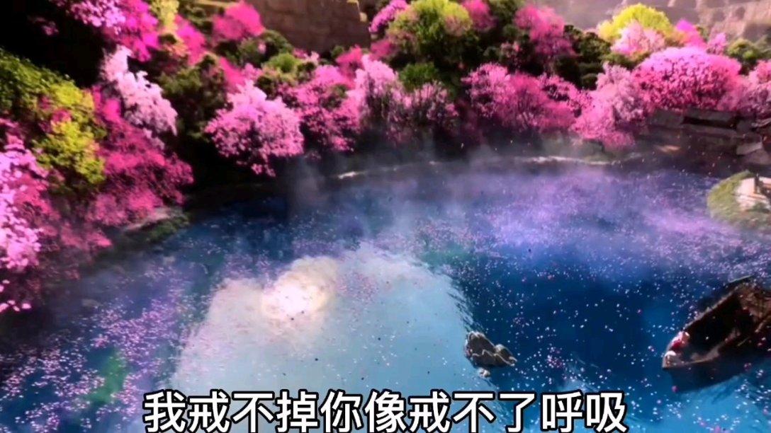 美人鱼游玩